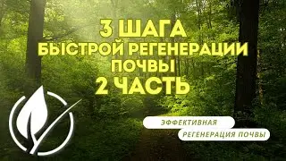 🍇3 Шага к быстрой регенерации почвы Часть 2: Размножение полезных микробов