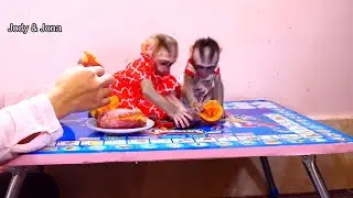Jona and Jody want to take their own potato