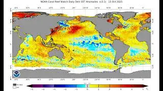SST Anomaly Progression From 18th August 2025 to November 26th 2025