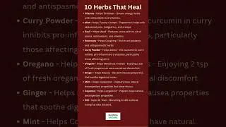 10 Herbs That Heal