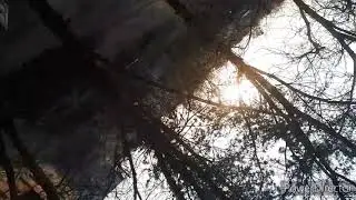 America wait for me (shock content)