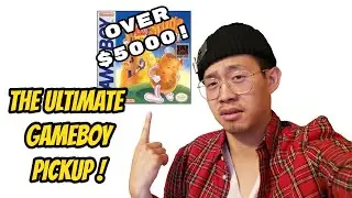 RAREST GAMEBOY PICKUP EVER from my subscriber! (Video Game Pickups Pt. 36)