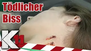 Todeskuss zur Geisterstunde: Studentin wird tot aufgefunden | 1/2 | K11 - Die neuen F&auml;lle | Sat.1