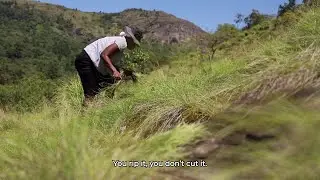 The art of making: Story of Eswatini's artisans - Collect