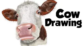 How to create a farmyard Cow from scratch to final illustration. #farmyard #cow #artwork #face