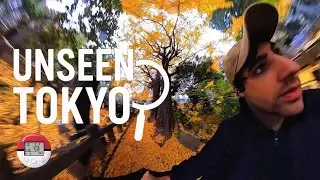 Rainy Tokyo Cemetery Walk | Unseen:Tokyo | Pok&eacute;walker Catch at the End