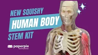 New Squishy Human Body Kit - Smart Lab/PaperPie