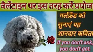 मैं दिल गया तुझ पर हार ! @Poetry Voetry ( हिंदी कविताएं ) #proposeday