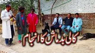 Kali Badmash Ka Anjam Yambo Tv Entertainment