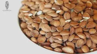 APRIKOSENKERNE B17 N&Uuml;SSE 1001frucht