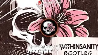 Missy Elliot x Yogi & Skrillex - Get Ur Burial On (Withinsanity Bootleg) [FREE DL]