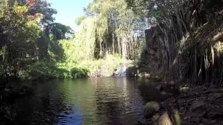 GoproBros