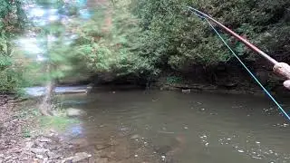 Fly fishing for Wild Rainbow Trout on a small, Southern Ontario stream.