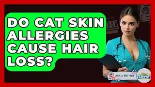 Do Cat Skin Allergies Cause Hair Loss? - Ask A Pet Vet