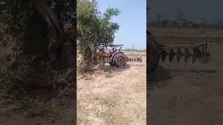 Mini Tractor Blade and Tiller Transform Overgrown Land #tractor #tillage #farming