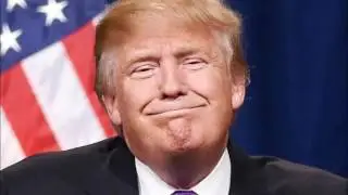 I'm The Donald - Alexander S. Bermange