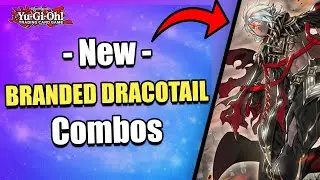 3 MUST KNOW COMBOS! | NEW BRANDED DRACOTAIL COMBOS! | POST JUSTICE HUNTERS! | Yu-Gi-Oh!