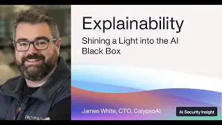 Explainability: Shining a Light into the AI Black Box with CalypsoAI