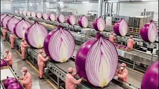 From Raw Onion to Premium Powder Inside One of America&rsquo;s Largest Processing Factories