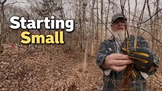 Starting Small: Planting Trees and Getting Things Started. 