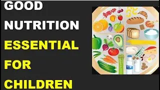 Good Nutrition Essential for Children