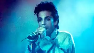 Breaking the Band: Prince & the Revolution &ndash; Now Streaming on REELZ+