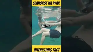 seahorse ka pyar🥰।।#facts #science #shorts #seahorse