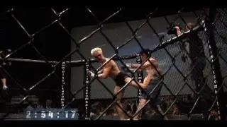 TKD in MMA