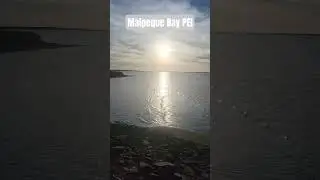 Malpeque Bay PEI #peilife #shorts #pei #viralvideo #beach