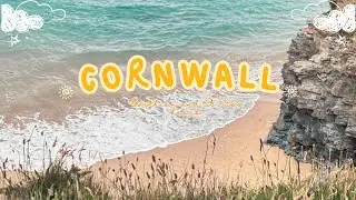 Cornwall Trip ~ Hayle and St. Ives ~ Paradise Park and Jungle Barn in Hayle