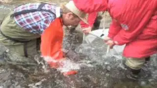Stream Ecology.m4v