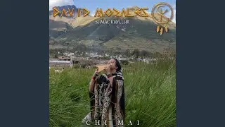 Chi Mai