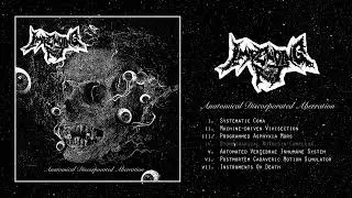 Impending Rot - Anatomical Discorporated Aberration FULL ALBUM (2023 - Goregrind / Death Metal)