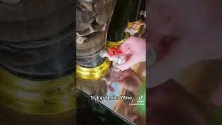 Trying Snake Wine For The First Time (Vietnam Trip pt30) #snakewine #veitnam #strangefood #alcohol