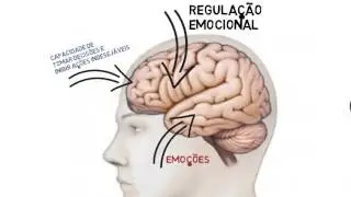 Mindfulness e o seu cérebro