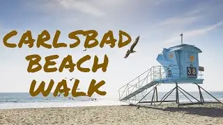 🐻 ⁴ᴷ Carlsbad, CA | Beach Walk 🏖 🏄&zwj;♀️
