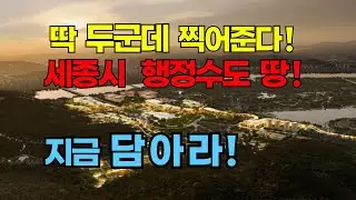 저평가 된 세종시 땅! 딱 2군데 찍어준다!  새로운 서울!  세종시 반드시 오를 땅값!   과연 어디가  가장  오를것인가?   어디에 투자할 것인가?