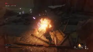 SEKIRO： SHADOWS DIE TWICE_20260111211250