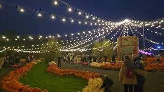 Pumpkin Time 2025 at night, at Sunnyfields Farm, Totton, Southampton 