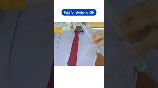 Test for alcoholic -OH | class 12 chemistry practical functional group test #chemistrypractical