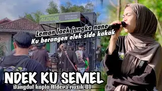 SASAK NDEK KU SEMEL EVI MARIANI | DANGDUT KOPLO ALDEVA MUSIK 01