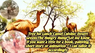camel eating a tree in the desert Camelops | Prehistoric Animals Wiki