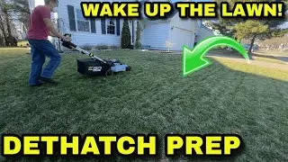 First Mow of 2025! Waking Up the Lawn & Prepping for Dethatching