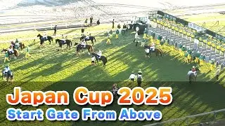 Japan Cup 2025 - High Angle View of the Start Gate