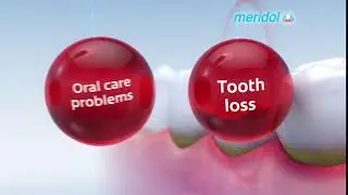 MERIDOL ENGLISH