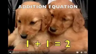 ADDITION for KIDS (Toddler, Preschool, K-1 ) MATH - ZOO & FARM ANIMALS  (Compilation) EDUCATIONAL
