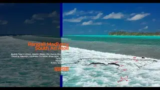 MALDIVES - DIve No.9 - Rangali Madivaru 1