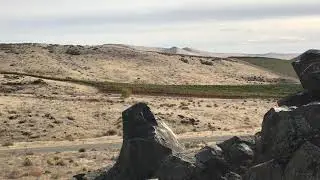Elephant Hill Vineyard in Yakima Valley