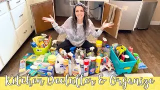 Hoarders ❤️ Under the Kitchen Sink Organization | Extreme Declutter & How to Organize on a Budget