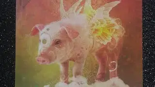 Pig Spirit✨Daily Guidance #pig #spirit #message #wisely #beautiful #spiritanimal #guidance